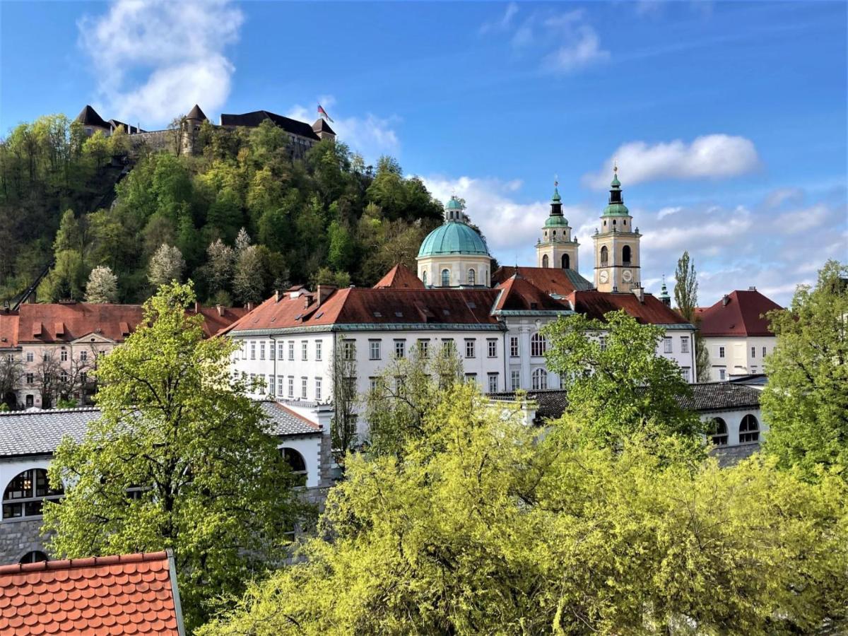 Rohrmann Apartments Lublaň Exteriér fotografie